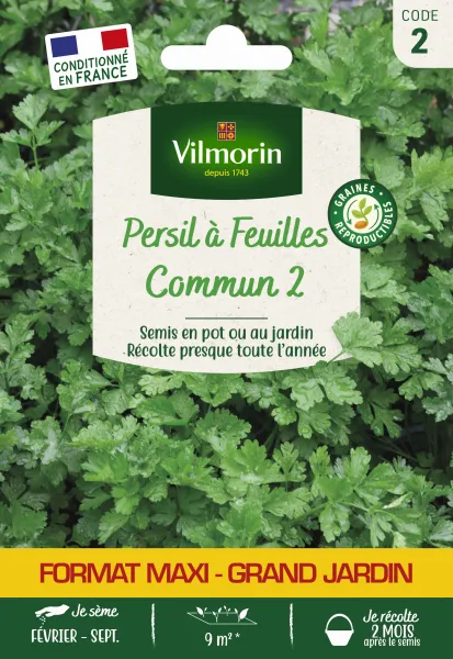 Aromatiques - Persil Commun 2 - Grand Modèle - face recto