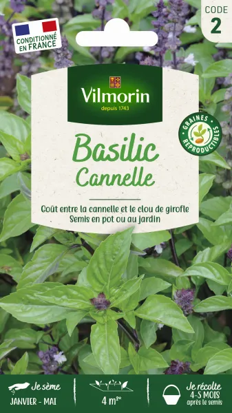 Aromatiques - Basilic Cannelle - PACKAGING_RECTO