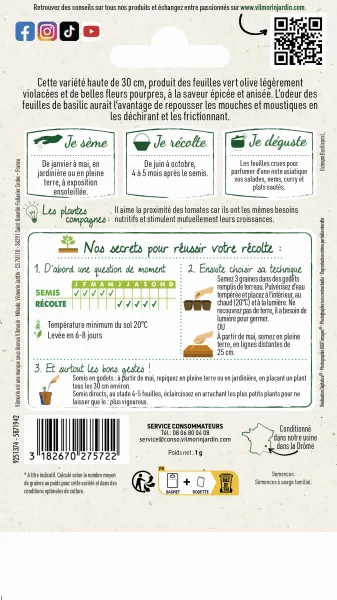 Aromatiques - Basilic Thaï - Cuisine du Monde - MEDIA_PACKAGING_VERSO