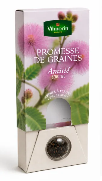 Arbres - Sensitive - Amitié - face recto