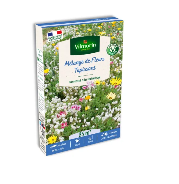 Mélanges de fleurs - Mélange Tapissant - 25 m² - Mélange de fleurs - face recto