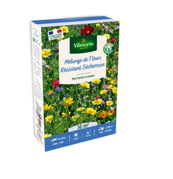 Mélanges de fleurs - Fleurs Terrain Sec - 50 m² - Mélange de fleurs - face recto
