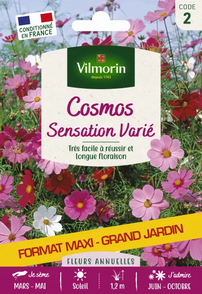 Fleurs - Cosmos Sensation Varié - Grand Modèle - face recto
