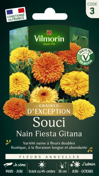 Fleurs - Souci Nain Fiesta Gitana - Graines d'Exception - face recto