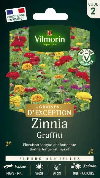 Fleurs - Zinnia Graffiti - Graines d'Exception - face recto
