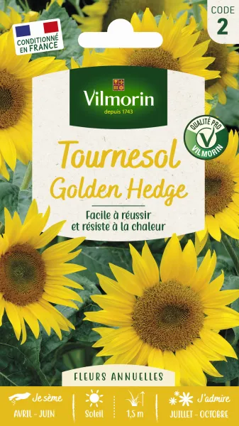 Fleurs - Tournesol Golden Hedge - face recto
