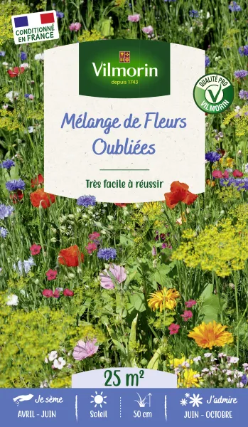 Mélanges de fleurs - Fleurs Oubliées - 25 m² - Mélange de fleurs - PACKAGING_RECTO