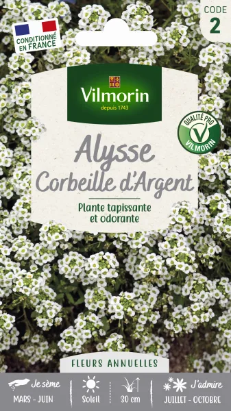 Fleurs - Alysse Corbeille d'Argent - PACKAGING_RECTO