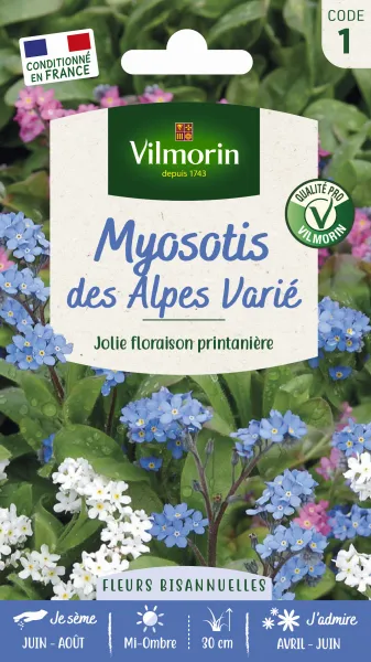 Fleurs - Myosotis des Alpes Varié - PACKAGING_RECTO