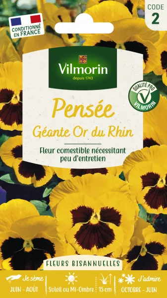 Fleurs - Pensée Géante Or du Rhin - PACKAGING_RECTO