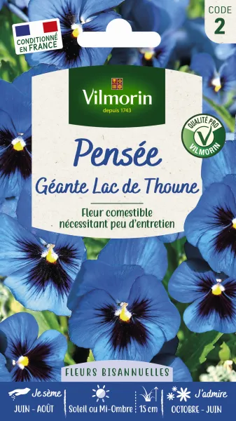 Fleurs - Pensée Géante Lac de Thoune - PACKAGING_RECTO