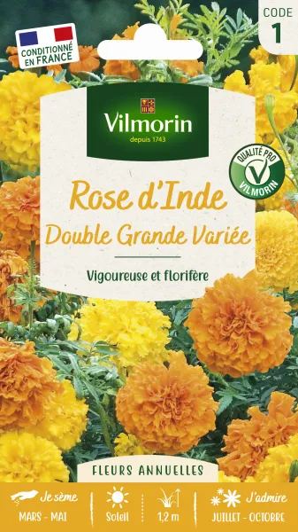 Fleurs - Rose d'Inde Double Grande Variée - PACKAGING_RECTO