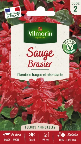 Fleurs - Sauge Brasier - PACKAGING_RECTO