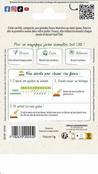 Fleurs - Grande Marguerite Perle des Prés - Graines d'Exception - MEDIA_PACKAGING_VERSO