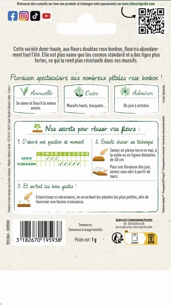 Fleurs - Cosmos Double Click Rose Bonbon - Graines d'Exception - MEDIA_PACKAGING_VERSO