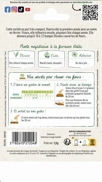 Fleurs - Lupin Gallery - Graines d'Exception - MEDIA_PACKAGING_VERSO