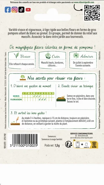 Fleurs - Rose Trémière Double Grande Variée - Graines d'Exception - MEDIA_PACKAGING_VERSO