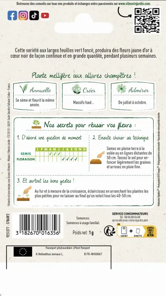 Fleurs - Tournesol Waooh! - Graines d'Exception - MEDIA_PACKAGING_VERSO