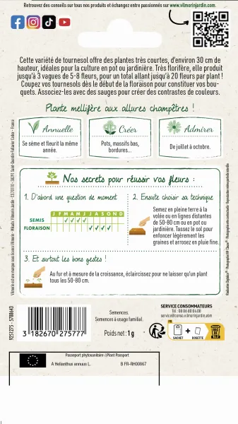 Fleurs - Tournesol Suntastic HF1 - Graines d'Exception - MEDIA_PACKAGING_VERSO