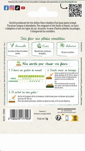 Fleurs - Souci Nain Fiesta Gitana - Graines d'Exception - MEDIA_PACKAGING_VERSO