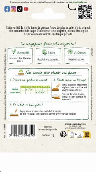 Fleurs - Zinnia Pop Art Rouge et Blanc - Graines d'Exception - MEDIA_PACKAGING_VERSO