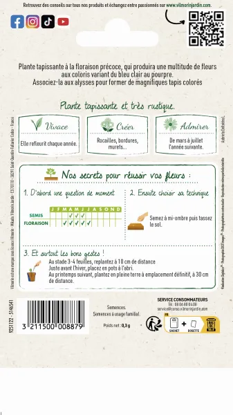 Fleurs - Aubriète Variée - MEDIA_PACKAGING_VERSO