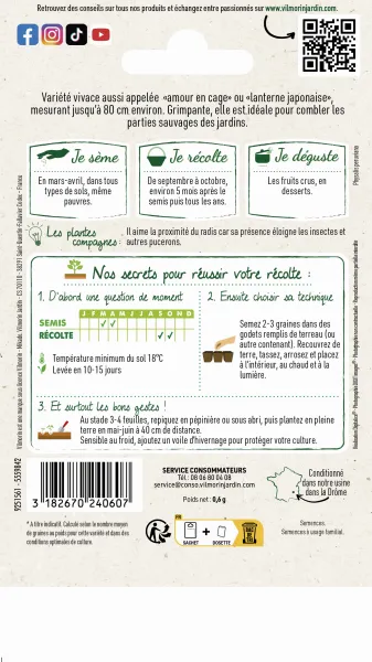 Fleurs - Physalis Edulis Coqueret du Pérou - MEDIA_PACKAGING_VERSO