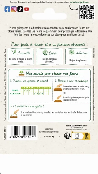 Fleurs - Pois de Senteur Spencer Varié - MEDIA_PACKAGING_VERSO