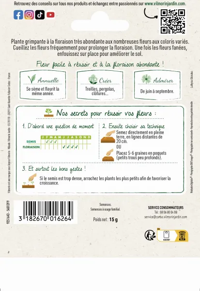 Fleurs - Pois de Senteur Spencer Varié - Grand Modèle - MEDIA_PACKAGING_VERSO