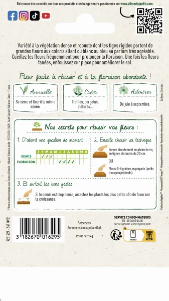 Fleurs - Pois de Senteur Galaxie Varié - MEDIA_PACKAGING_VERSO