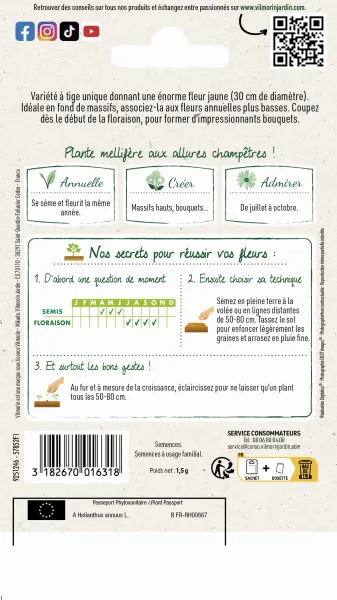 Fleurs - Tournesol à Fleur Géante - MEDIA_PACKAGING_VERSO