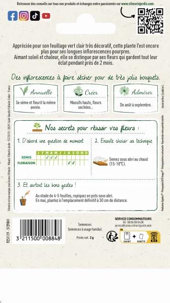 Fleurs - Amarante Queue de Renard - MEDIA_PACKAGING_VERSO
