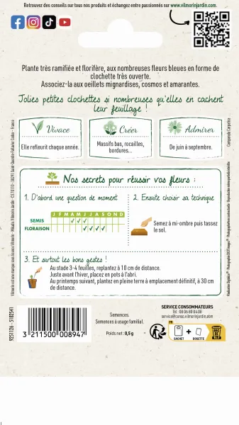Fleurs - Campanule des Carpates Bleue - MEDIA_PACKAGING_VERSO