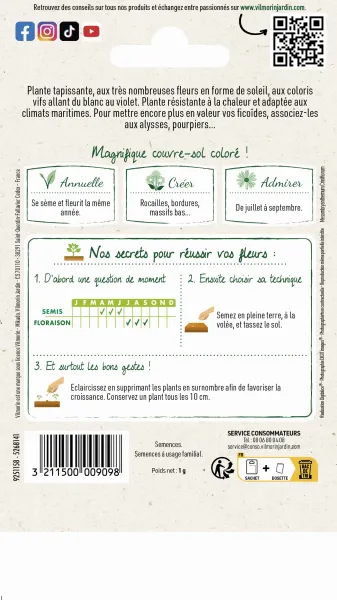 Fleurs - Ficoïde Tapis Magique - MEDIA_PACKAGING_VERSO