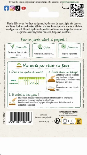Fleurs - Giroflée d'Eté Quarantaine Variée - MEDIA_PACKAGING_VERSO