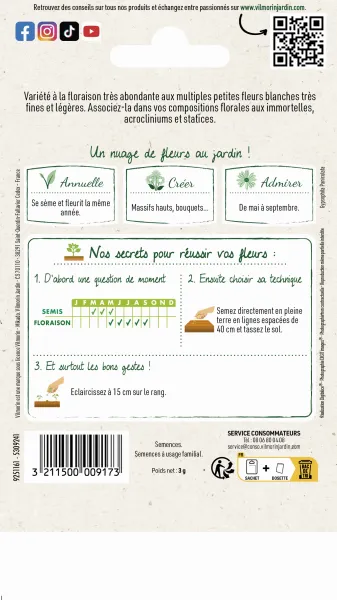 Fleurs - Gypsophile Nuage Blanc - MEDIA_PACKAGING_VERSO