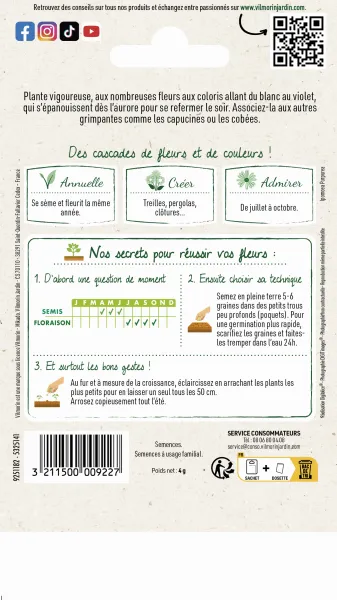 Fleurs - Ipomée Volubilis Variée  - MEDIA_PACKAGING_VERSO