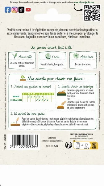Fleurs - Muflier (Gueule de Loup) Goupil Varié - MEDIA_PACKAGING_VERSO