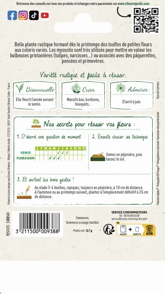 Fleurs - Myosotis des Alpes Varié - MEDIA_PACKAGING_VERSO