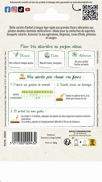Fleurs - Œillet des Fleuristes Triomphe Varié - MEDIA_PACKAGING_VERSO