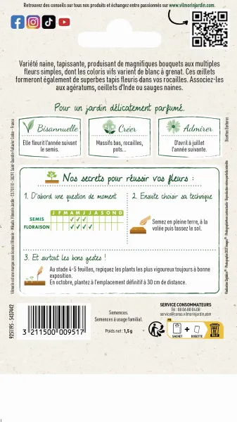 Fleurs - Œillet de Poète Tapis des Indes - MEDIA_PACKAGING_VERSO