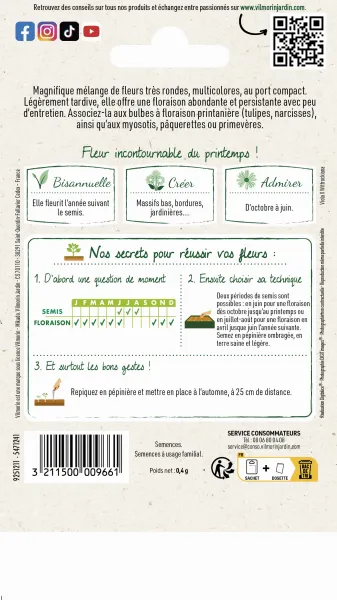 Fleurs - Pensée Géante Suisse Variée - MEDIA_PACKAGING_VERSO
