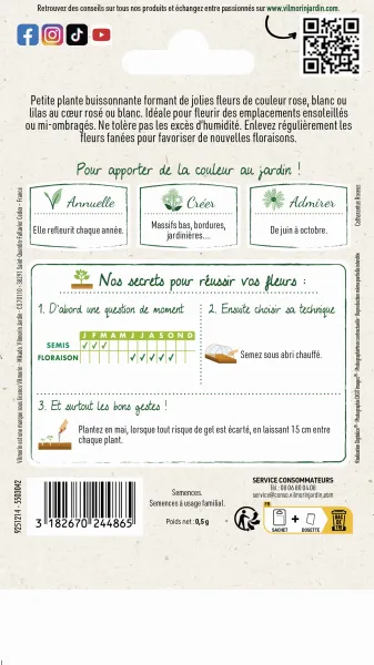 Fleurs - Pervenche de Madagascar en Mélange - MEDIA_PACKAGING_VERSO
