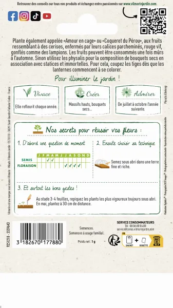 Fleurs - Physalis Lanterne Chinoise - MEDIA_PACKAGING_VERSO