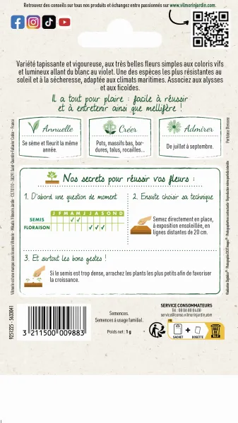 Fleurs - Pourpier Simple Varié - MEDIA_PACKAGING_VERSO