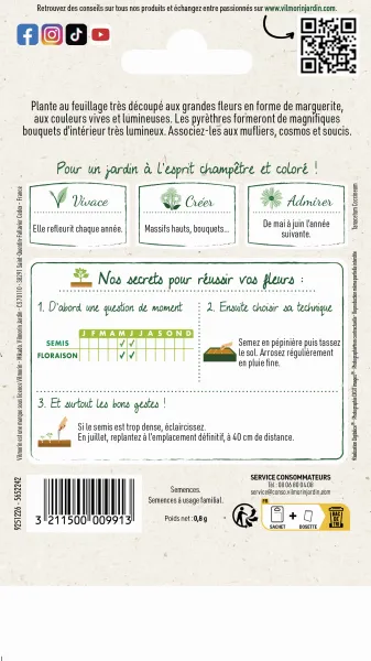 Fleurs - Pyrèthre Géant varié - MEDIA_PACKAGING_VERSO