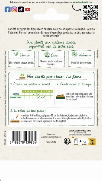 Fleurs - Rose Trémière Pastorale - MEDIA_PACKAGING_VERSO