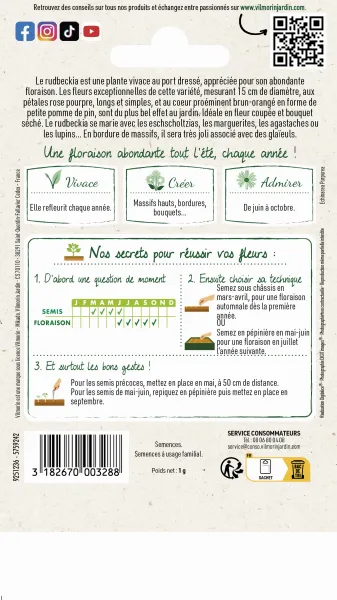 Fleurs - Rudbeckia Pourpre Magnus - MEDIA_PACKAGING_VERSO