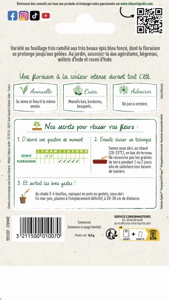 Fleurs - Sauge Victoria - MEDIA_PACKAGING_VERSO