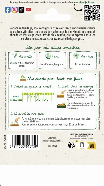 Fleurs - Souci Double Varié - MEDIA_PACKAGING_VERSO